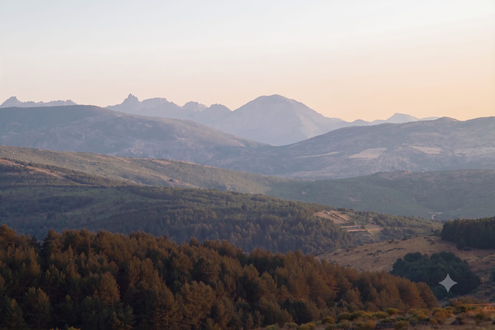 Olivar y la Sierra de Gredos nevada en La Vera