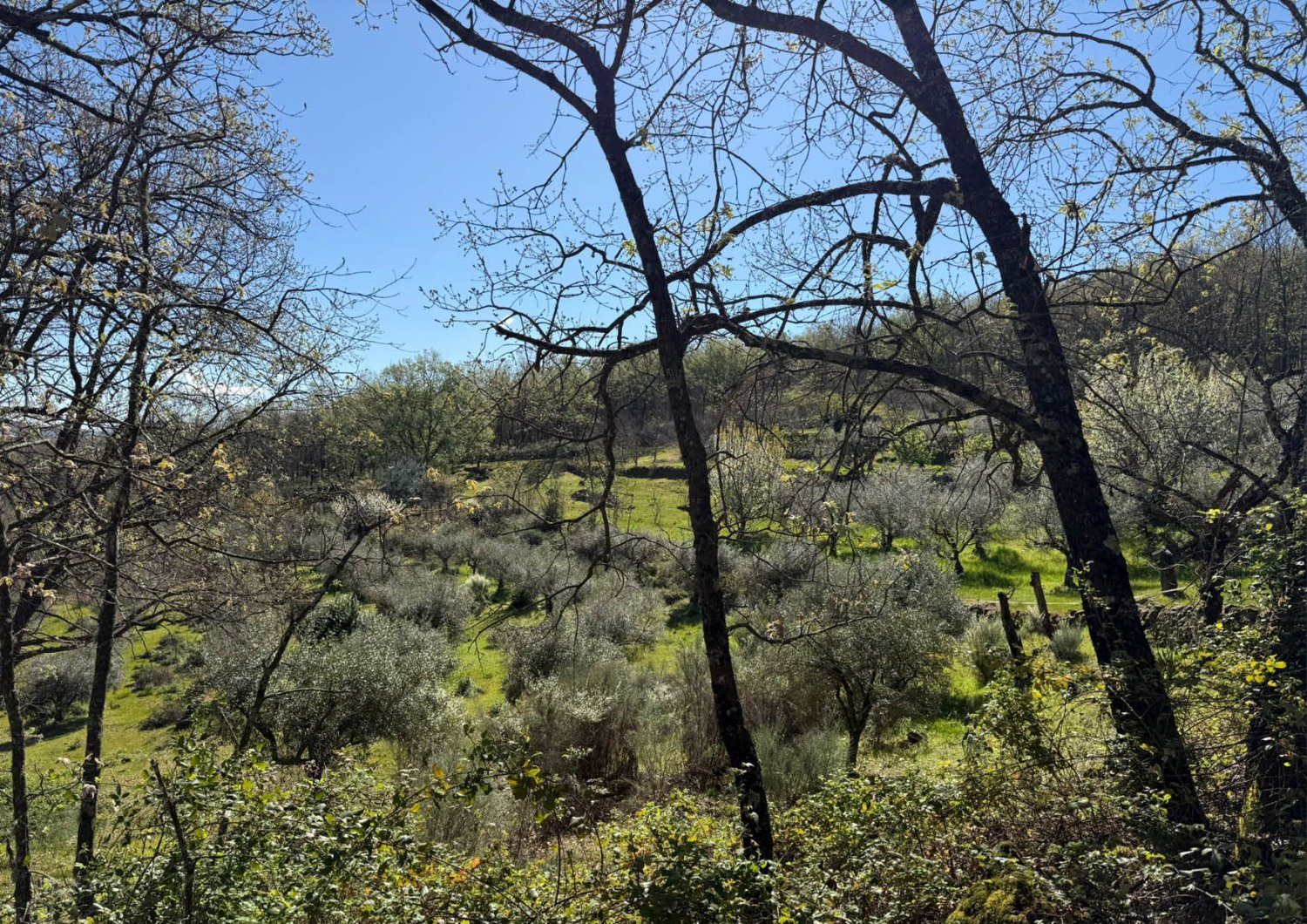 Finca La Vera
